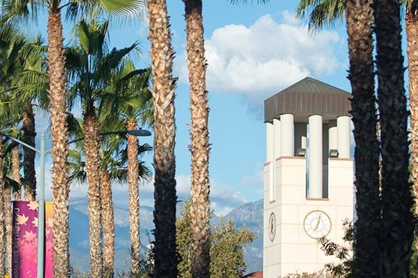 Hunsaker Plaza Clocktower behind Palm Trees